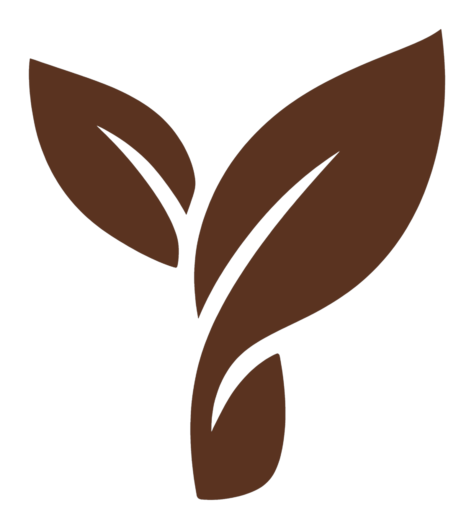 YouthfulLab leaf mark in the Terracotta Sun colorway